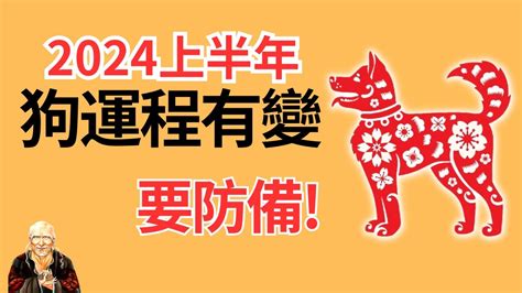 2024狗年運程1982|1982年属狗人2024年运势及运程详解 82年出生42岁生。